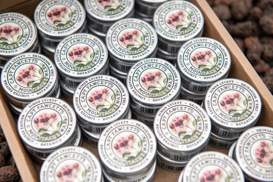 The Secret Garden Behind Captain Fawcett's Most Extraordinary Moustache Wax