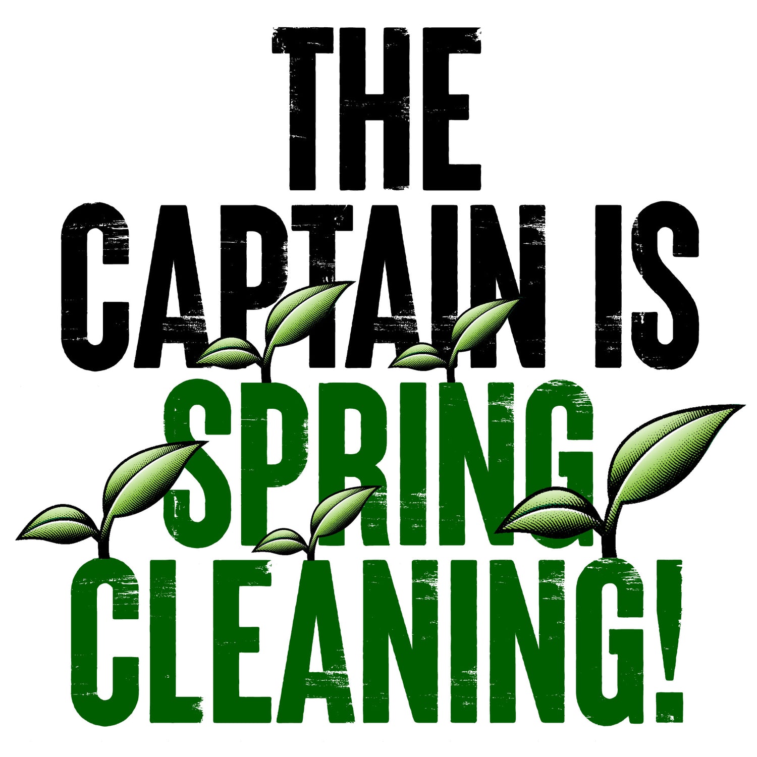 Captain Fawcett's Spring Clean