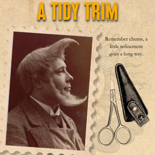 Late Summer Beard styling